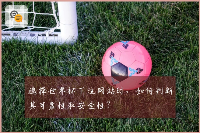 选择世界杯下注网站时，如何判断其可靠性和安全性？