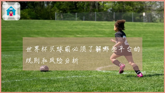 世界杯买球前必须了解哪些平台的规则和风险分析