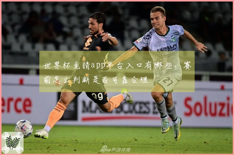 世界杯竞猜app平台入口有哪些，赛前怎么判断是否可靠合理