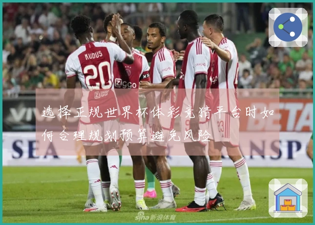 选择正规世界杯体彩竞猜平台时如何合理规划预算避免风险