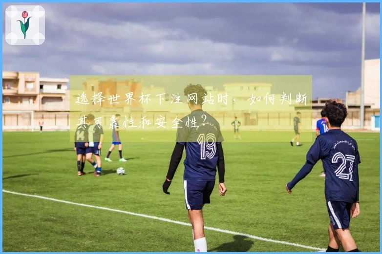 选择世界杯下注网站时，如何判断其可靠性和安全性？