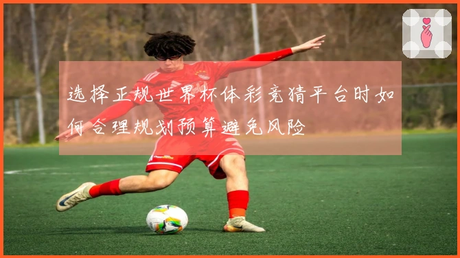 选择正规世界杯体彩竞猜平台时如何合理规划预算避免风险